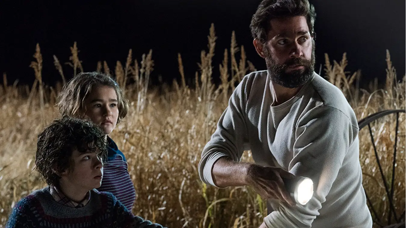 Description of the pic