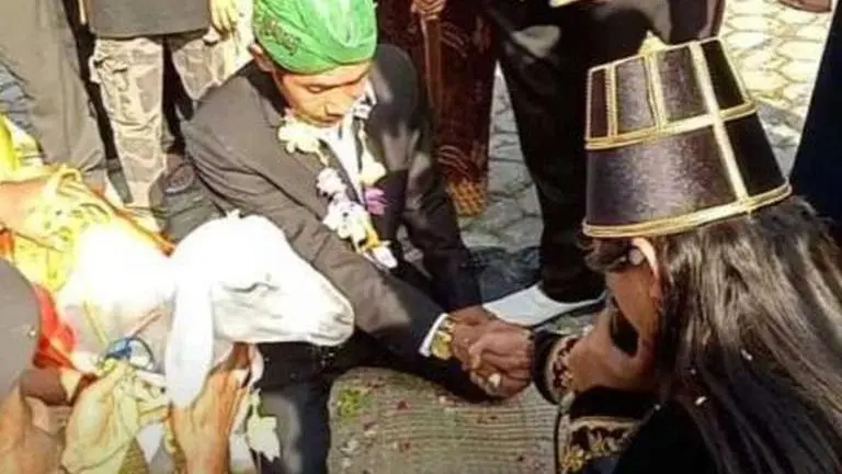Indonesian man 'marries' goat with sole purpose of going viral; sparks outrage on internet Indonesia