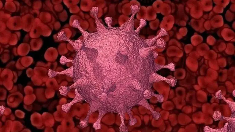 coronavirus