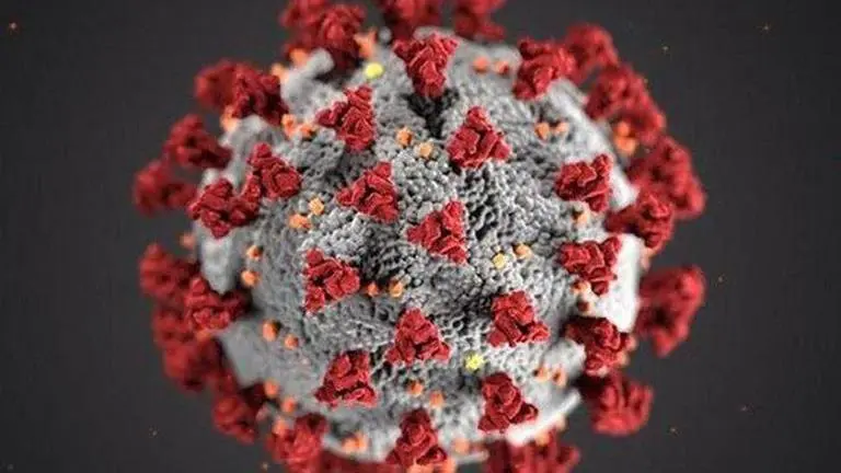 US scientists say sunlight destroys coronavirus quickly, hope it would ease in summer US