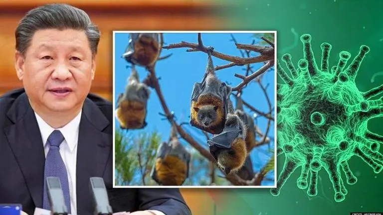 China discovers new batch of Coronaviruses in bats, one strain closest to COVID after RaTG China