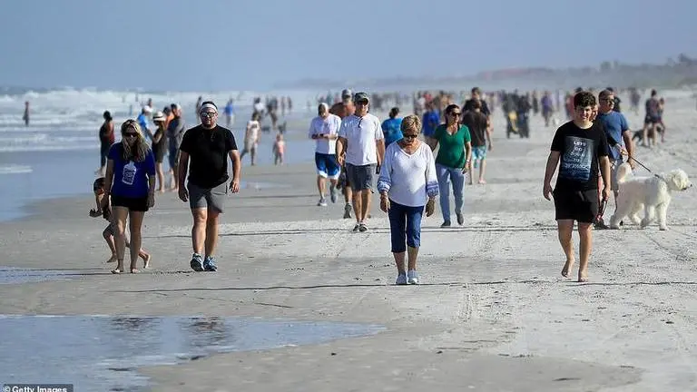 California shark attack victim was surfboard maker California shark attack victim was surfboard maker