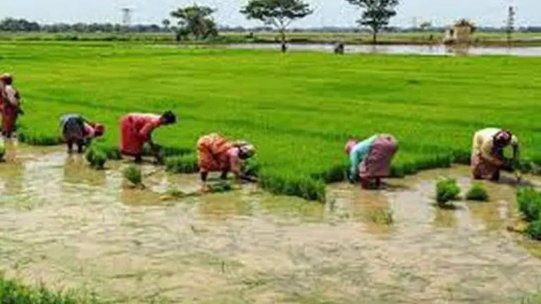 Rajasthan Govt sets up Rs 1,000 crore Farmers Welfare Fund rajasthan govt