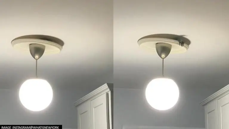 US: Raccoon trying to claw through ceiling in viral video leaves netizens perplexed US