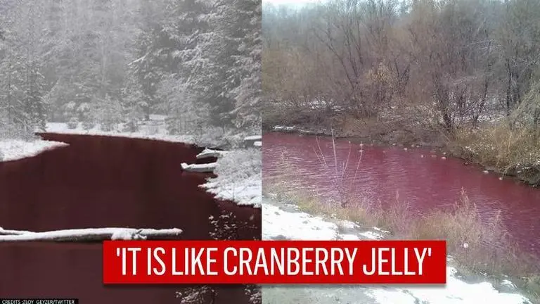 Russia's Iskitimka River turns beetroot red, residents say ducks refuse to enter it Russia