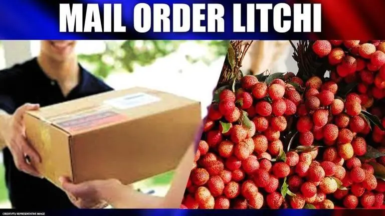 Bihar government, postal dept join hands for online delivery of 'Shahi Litchi'