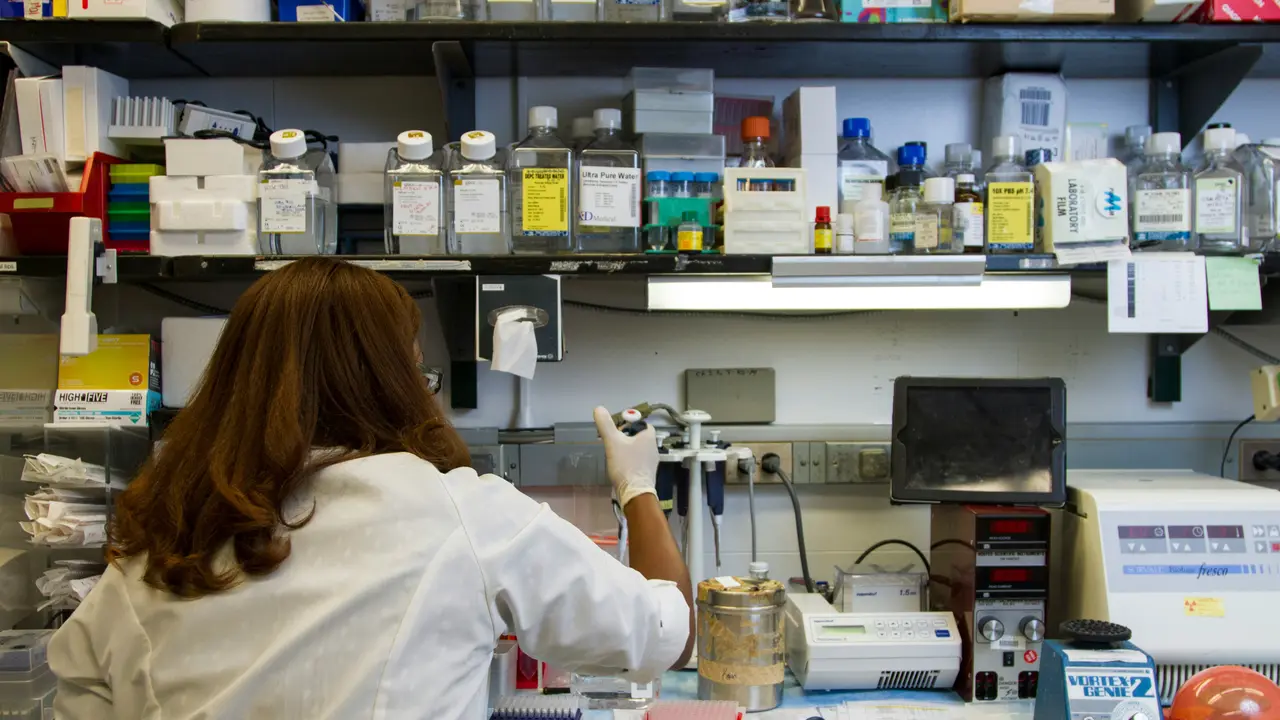 What Is Alaskapox? Fatal Disease That Has Claimed One Life In The US