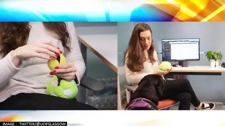 UK scientist invents device for dogs to video call owners; aims to ease separation anxiety UK