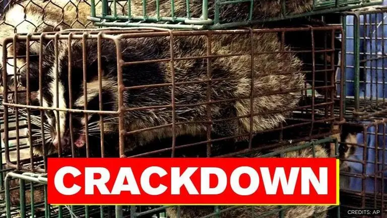 Vietnam bans wildlife trade, hopes to prevent future zoonotic virus pandemics Vietnam: PM orders ban on wildlife trade