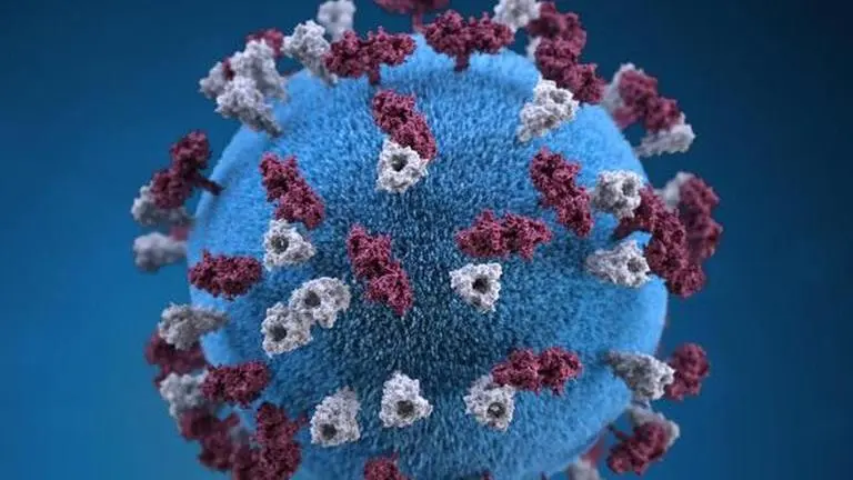 ECHR rejects claim against France's virus handling