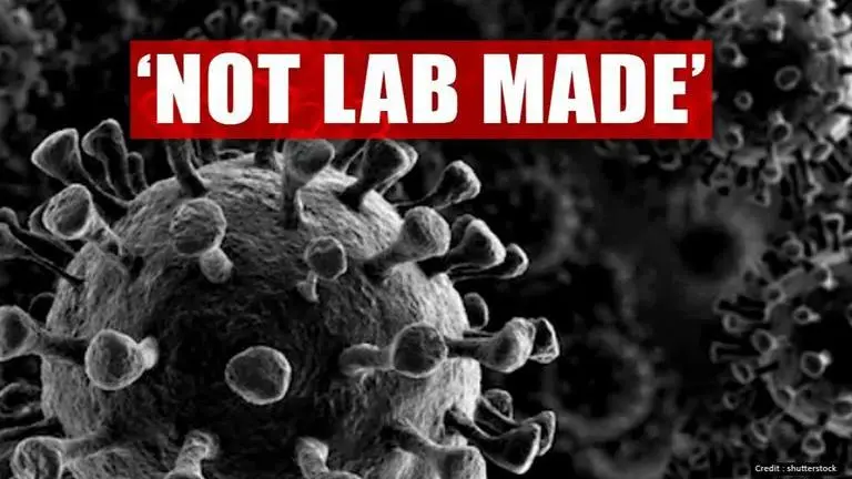 Scientists establish coronavirus orginated through natural processes Scientists