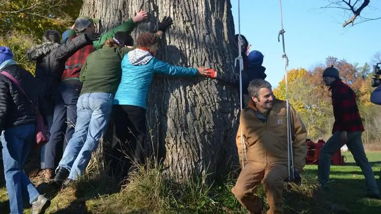 Iceland Forest department urges people to 'Hug Trees' during COVID lockdown; read Iceland