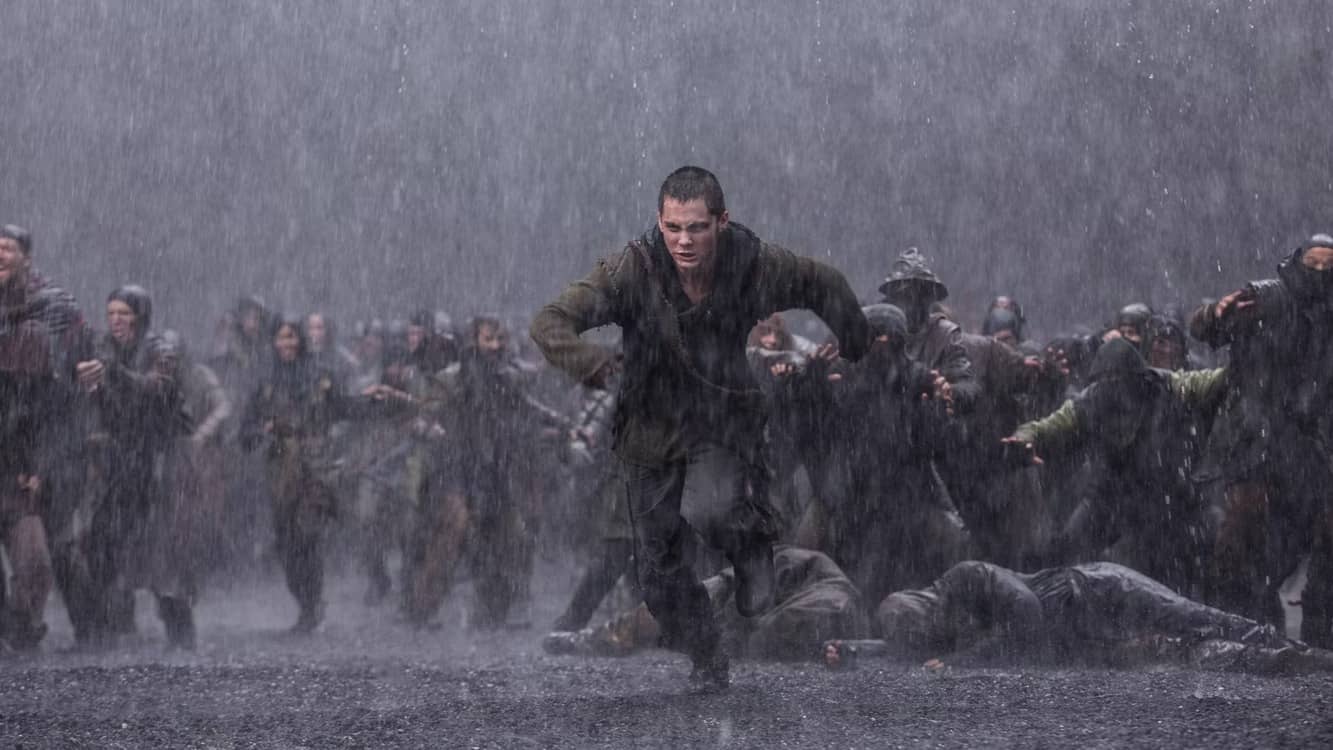 Description of the pic