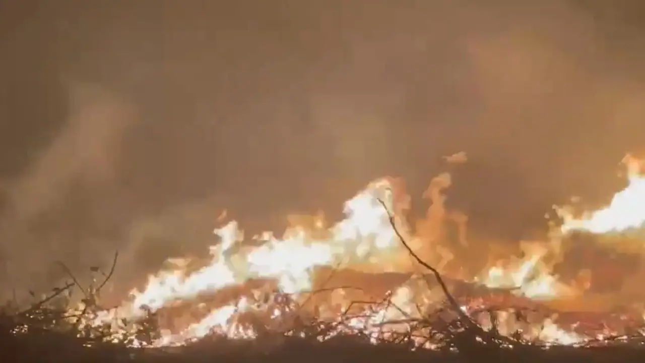 Noida: Fire Breaks Out in Sector-32 Horticulture Dumping Ground A fire has broken out in Noida's Sector 32.
