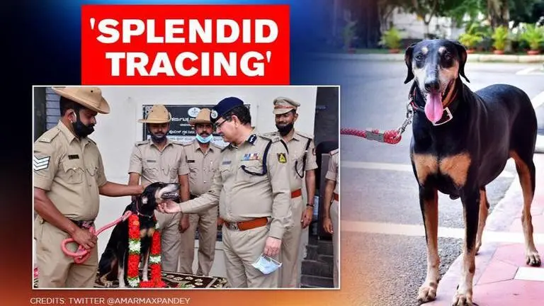 Karnataka: Sniffer dog honored for tracing gang of murder accused after running 11 km Karnataka