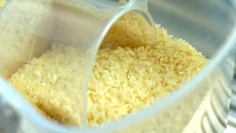 Vikas Lifecare to acquire Kohinoor Foods at Rs 250 crore Merger & Acquisition