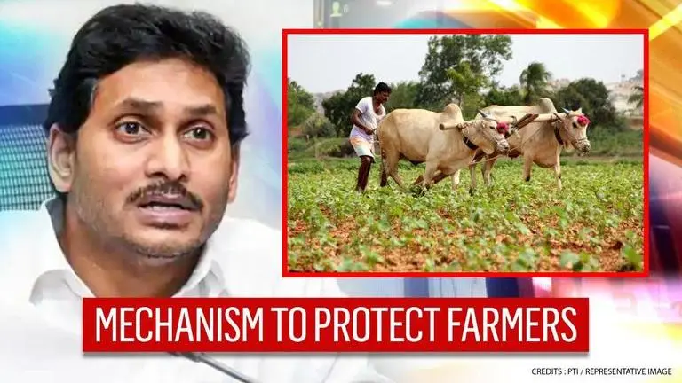 Andhra govt introduces new mechanism on sale of agricultural produce during Kharif season Andhra Pradesh