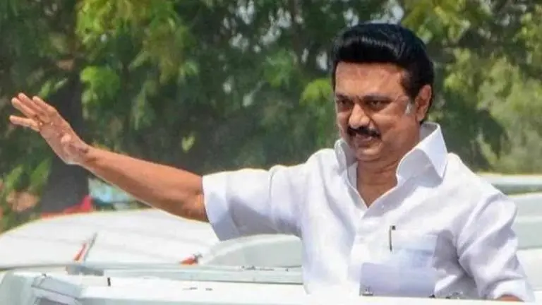 Stalin likens DMK to elephant, says his party will demonstrate its power to rivals