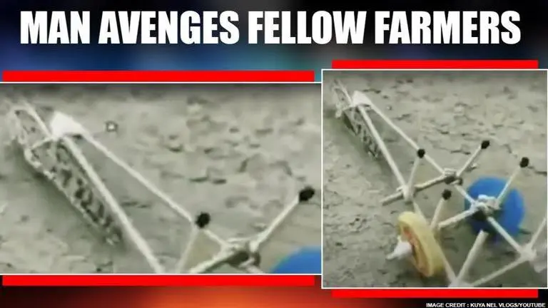 VIRAL: Farmer takes revenge from locust after crops being destroyed, makes it plough field man