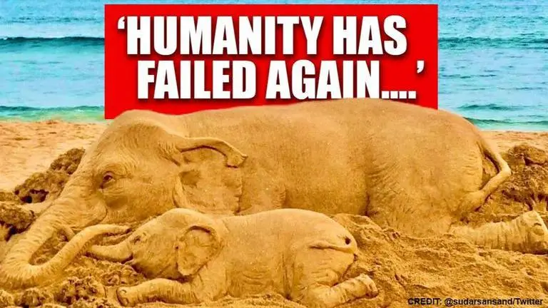 'Humanity has failed again': Sand art depicts horrific pregnant elephant killing in Kerala Sudarsan Pattnaik