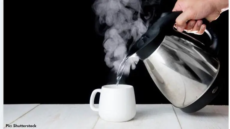 Fact Check: Did BMC appeal to all citizens to drink boiled water for 7 days? fact check