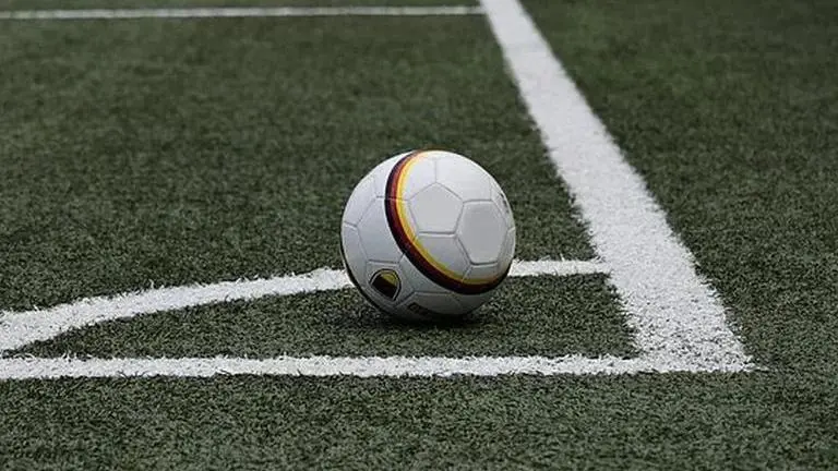 'Right to postpone Euro 2020,' says Germany head coach Low