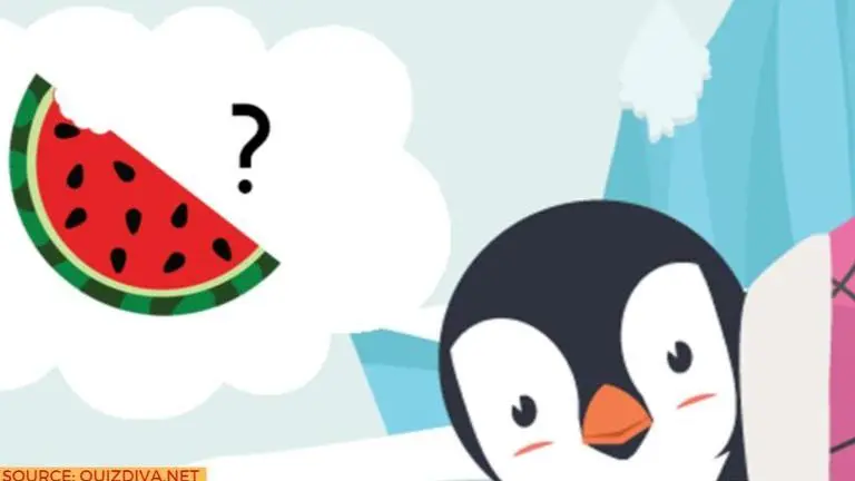 where is the watermelon quiz