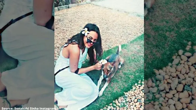 Sonakshi Sinha is a dog lover and these pictures from her social media are proof Sonakshi Sinha