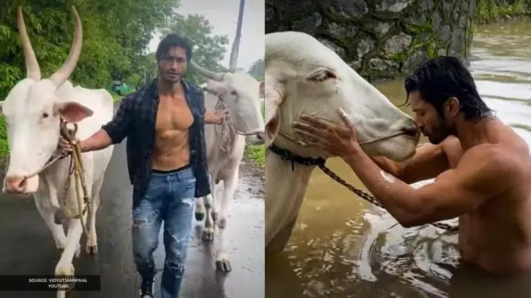 Vidyut Jammwal gives a glimpse into his 'Country Boy' life amid lockdown; Watch here Vidyut Jammwal