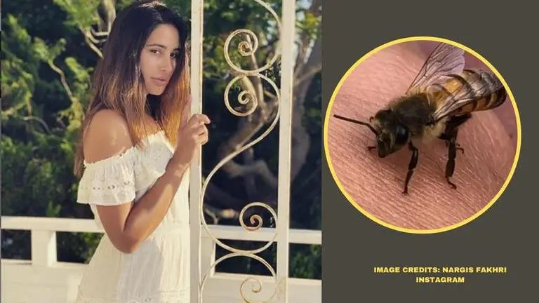 Nargis Fakhri saves Honey-bees, fans say 'Itna bhi pyaar mat karo, kaategi' Nargis Fakhri