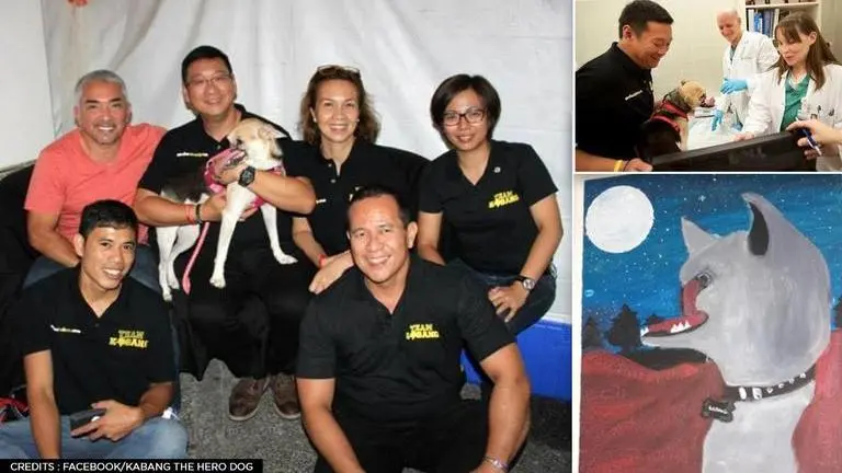 Philippines: Hero dog 'Kabang' that saved two girls from bike accident, dies aged 13 Philippines