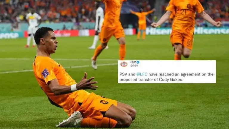 Liverpool snatch World Cup star from right under Man United's nose with record transfer Cody Gakpo