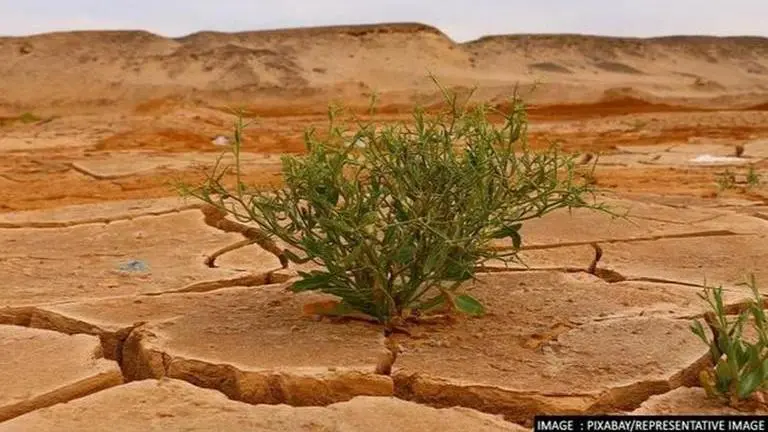 Warming temperatures influences alteration in atmosphere's structure: Study Climate change
