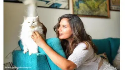Richa Chadha loves spending time with cats, these videos are proof Richa Chadha