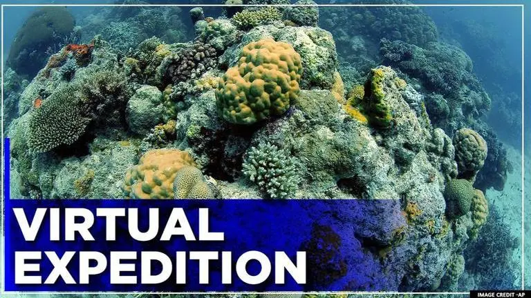 NASA invites people on virtual ocean expedition, designs video game to map coral reefs NASA