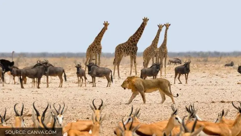 World Animal Day 2020: Know more about significance, history and importance of the day world animal day 2020