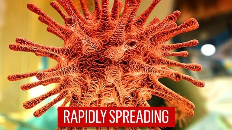 COVID-19: Scientists say that UK variant is spreading rapidly across US, may dominate soon COVID-19: Study claims that UK variant is spreading rapidly across US, may dominate soon