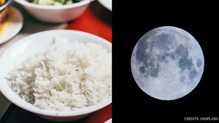 'Rice from heaven': China harvests 'space rice' with seeds that travelled the moon Space rice
