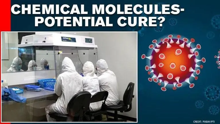 Researchers at Noida university discover molecule with potential to treat COVID-19 COVID-19