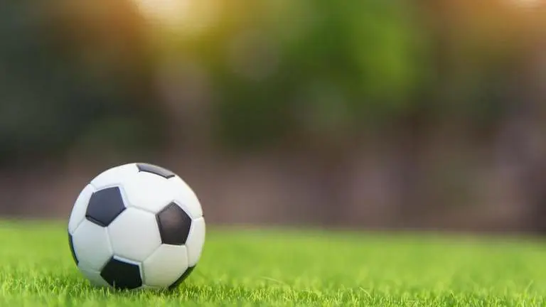 Picault, Ferreira help FC Dallas beat Minnesota United 3-1 Picault, Ferreira help FC Dallas beat Minnesota United 3-1