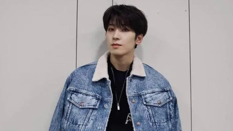 Wonwoo, hoshi seventeent member