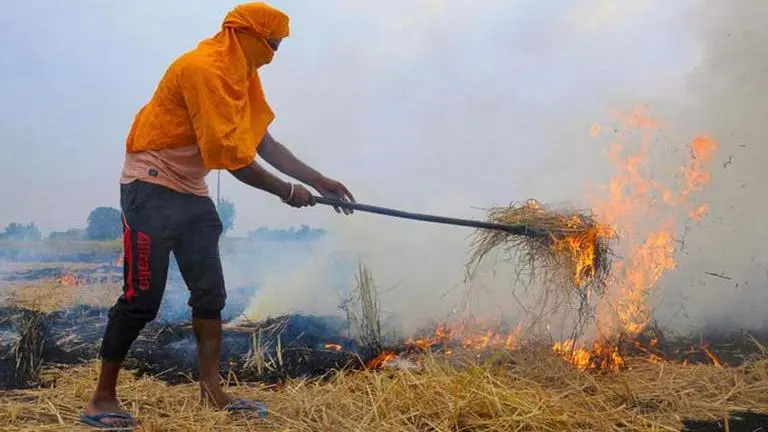 Stubble burning: Cases lodged against 30 farmers in UP's Fatehpur district in past 2 days