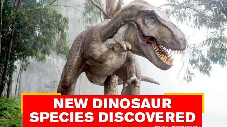 New species of dinosaur related to Tyrannosaurus rex discovered on the Isle of Wight New dinosaur species discovered on Isle of Wight
