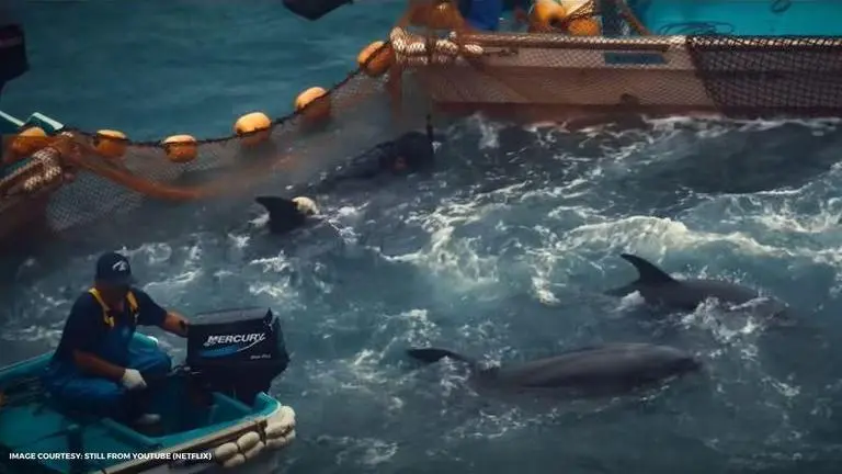How accurate is Seaspiracy? Netflix documentary under radar for factual inconsistencies? Source: Still from YouTube (Netflix)