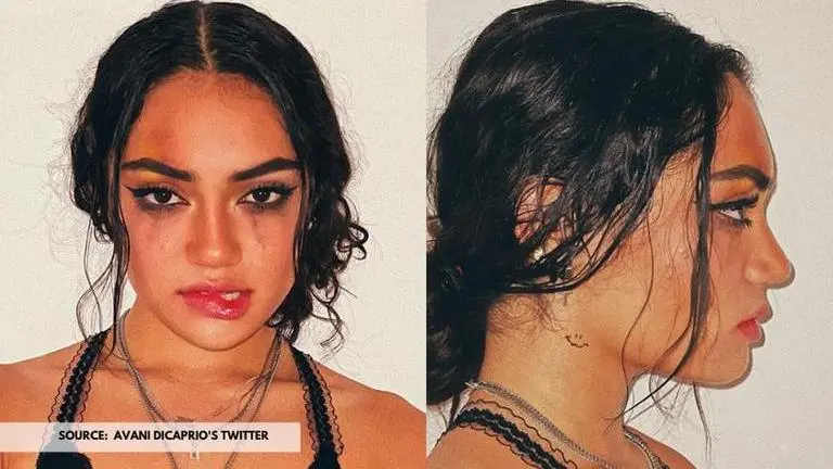 what is the tiktok mugshot challenge