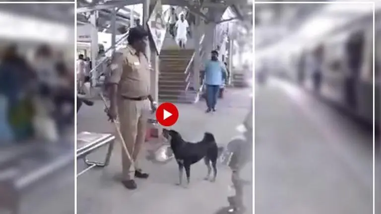 WATCH: This abandoned dog is helping Railway Police in Chennai, here's how railways