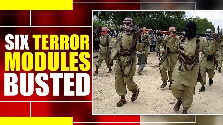 Six terror modules busted in past one month: JK Police J&K