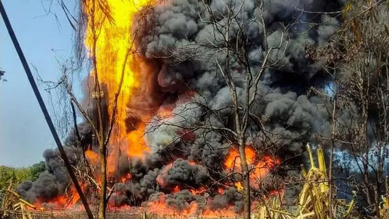 Assam gas fire to have long-term impact on biodiversity hotspot