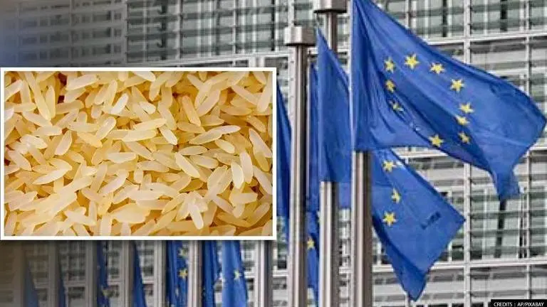 India and Pakistan spar over Basmati exclusive trademark at EU India