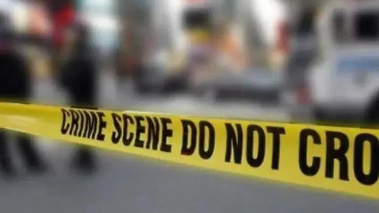 2 American tourists injured in crocodile attack in Mexico